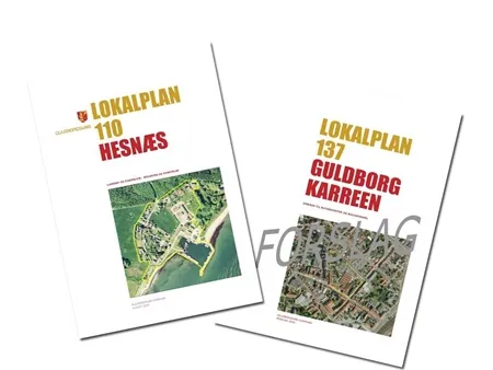 Lokalplaner kan downloades fra Dingeo
